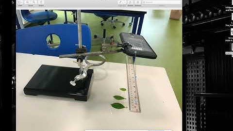 Using ImageJ to measure length, angles, and area