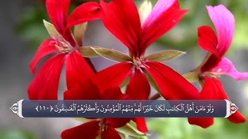 110 al emran آیات صحابه در قران - سوره آیه