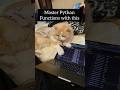 Learn Python Functions for free and ease. Link in description. #learnpython #pythonlearning #data