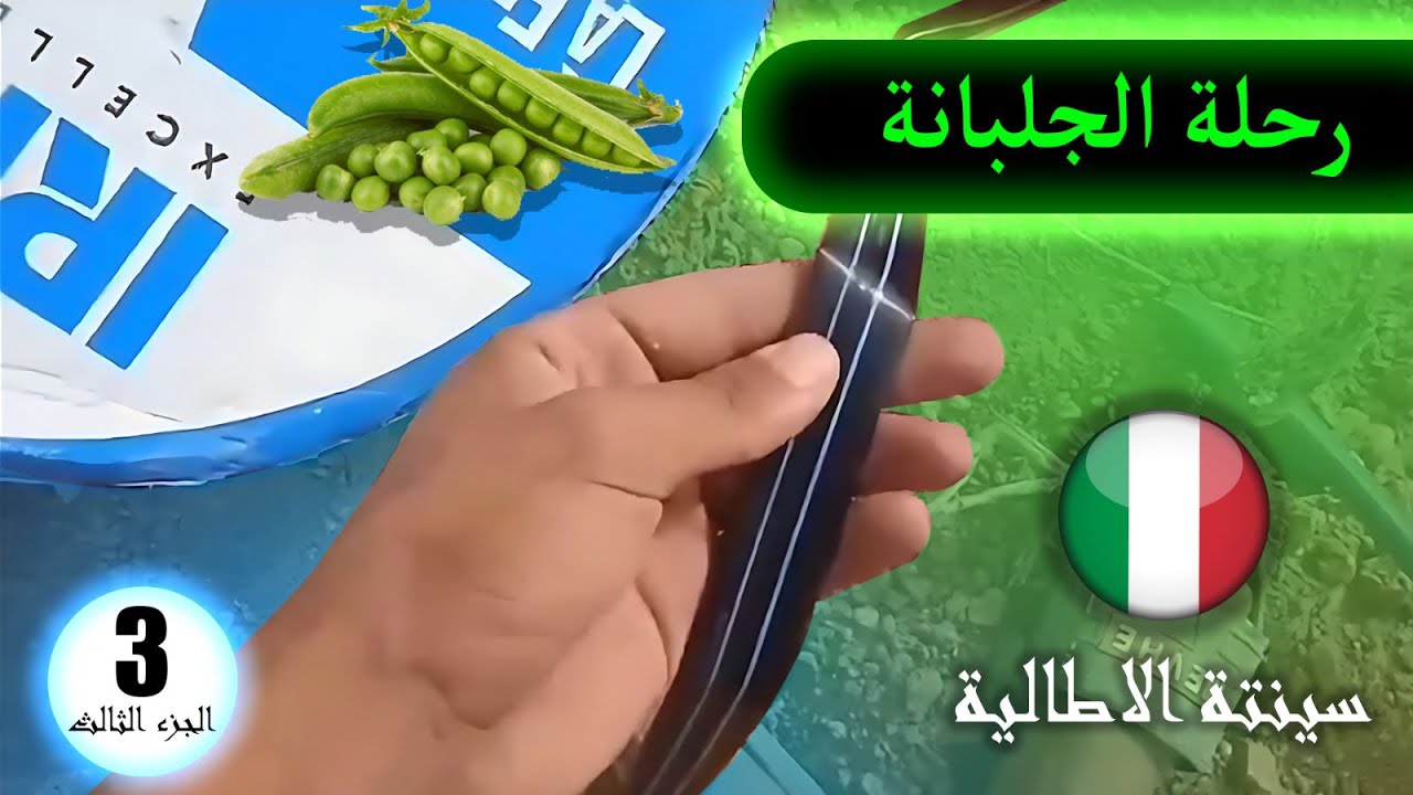 تجهيز الارض بالسينتة لسقي الجلبانة الاجزء الاخير (الحساب بشحال تقامة...)