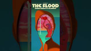 Download Lagu THE FLOOD w/ BLAKKAT - Second single from Sacha Robotti's upcoming album I, ROBOTTI MP3