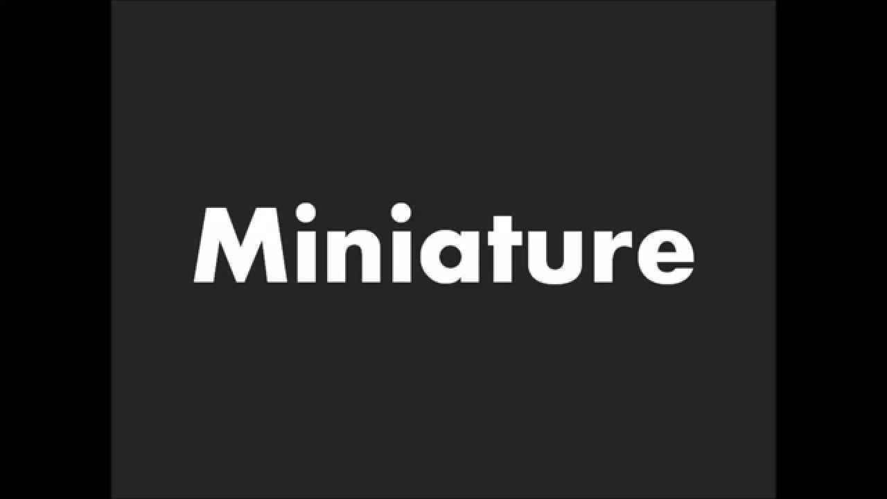 How to Pronounce Miniature YouTube