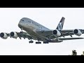 Changi Morning Heavy Aircraft Landings! A350-1000, A380 & 747 | Planespotting