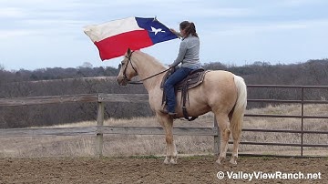 Skipper U Go - running the barrels and carrying the flag! - ValleyViewRanch.net