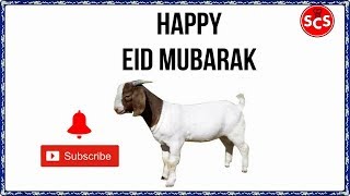 Bakra Eid Mubarak By Saimas Cooking Secrets