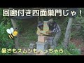 回廊付き４面巣門で暑さもスムシもサヨナラ！