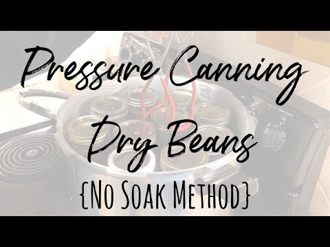 How To Pressure Can Dry Beans | No Soak Method