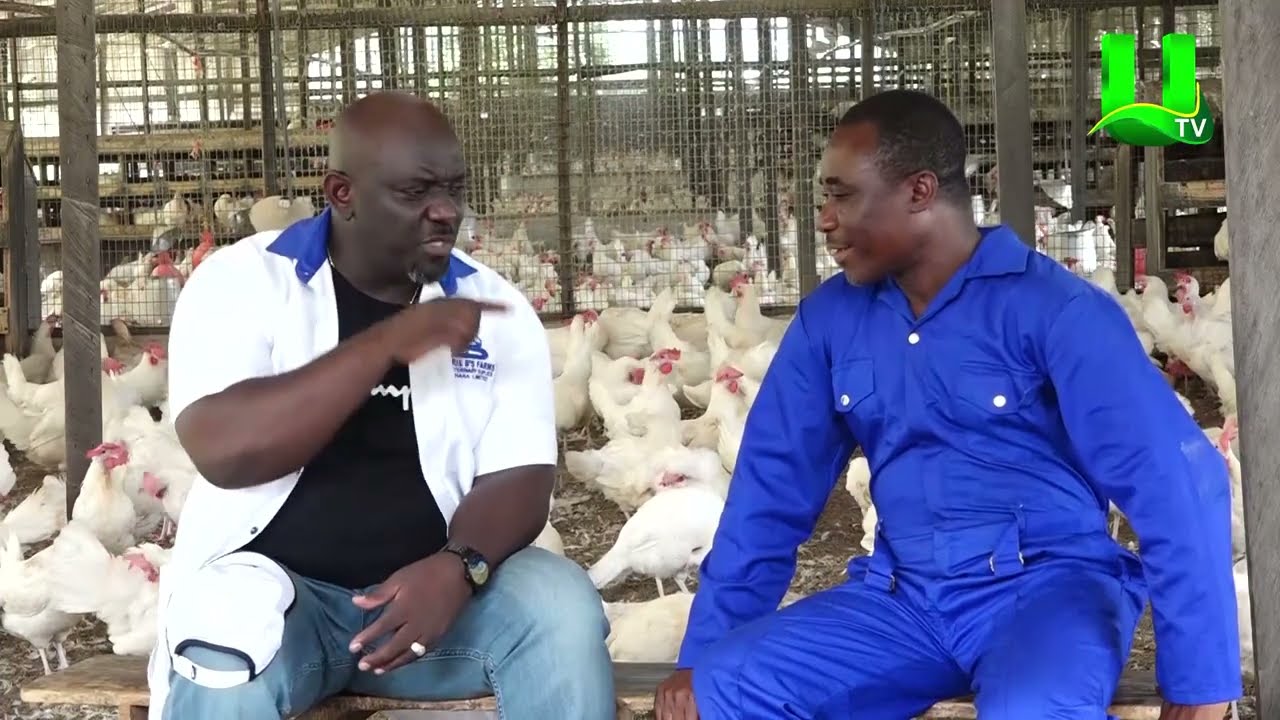 AYEKOO:  ONE ON ONE WITH BORIS B ON POULTRY ISSUES