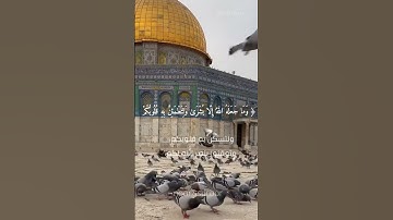 { وما النصر إلا من عند الله } القارئ عبد الباسط عبد الصمد #غزة #القدس