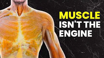 Is Your "Fat-Melting" Strength Training Actually Working?