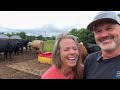 Farm Surprises You Didn’t See Coming! + Snake in the Grass?? | Midwest Homesteading