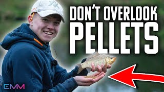 THIS video will catch you MORE FISH!