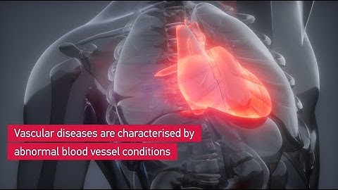 NTU, Brown and MIT scientists develop AI platform to assess blood vessel anomalies and eye disease
