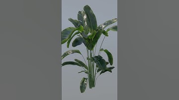 TYFLOW | Planting Test Animation