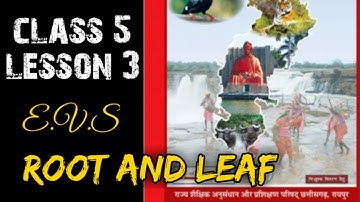 ROOT AND LEAF ..|CHAPTER 3| EVS | English medium cg board..with full exercises