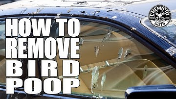 How To Remove Bird Poop - Chemical Guys Car Care