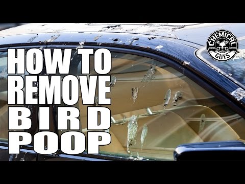 How To Remove Bird Poop - Chemical Guys Car Care