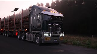 PACCAR Portrait - Fennell Forestry