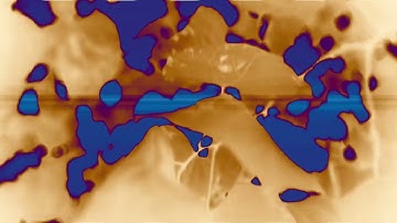 Introspective Spark - Trancemissions Existential (Official Music Video)