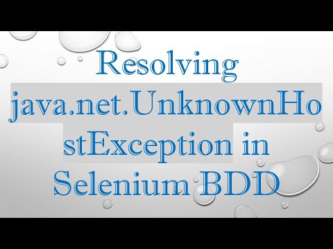 Resolving java.net.UnknownHostException in Selenium BDD