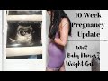 10 Week Pregnancy Update/Q&amp;A + First Appointment!