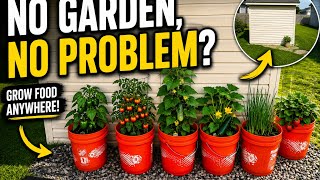 Starting a 5-Gallon Bucket Garden (Full Setup for Growing Food) | No Garden, No Problem