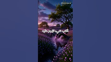 اكتب شيء تؤجر عليه.#القرآن_الكريم #تلاوة_خاشعة #تلاوة_هادئة