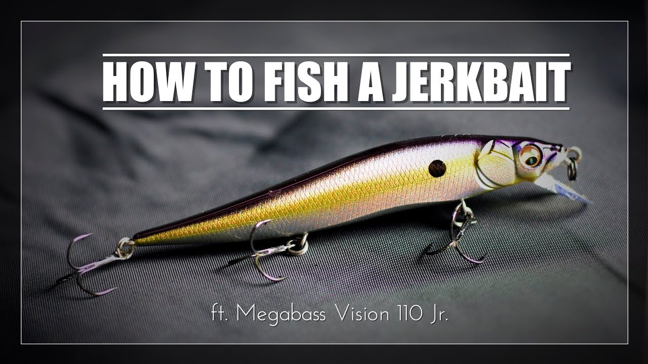 How to Fish a Jerkbait ft. Megabass Vision 110 Jr. 