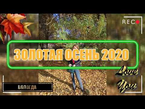 ЗОЛОТАЯ ОСЕНЬ 2020