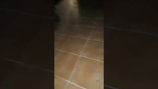 Download Lagu Basaro MP3