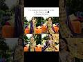 Meesho Diwali Sharara set Finds under ₹500✨#shorts #ytshorts #fyp #meesho #diwali #viral #shortsfeed