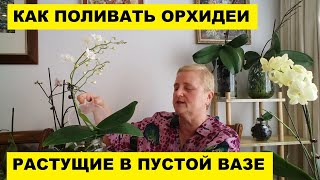 КАК ПОЛИВАТЬ ОРХИДЕИ В ПУСТОЙ ВАЗЕ..КАК УЕХАТЬ В ОТПУСК ОТ ОРХИДЕЙ