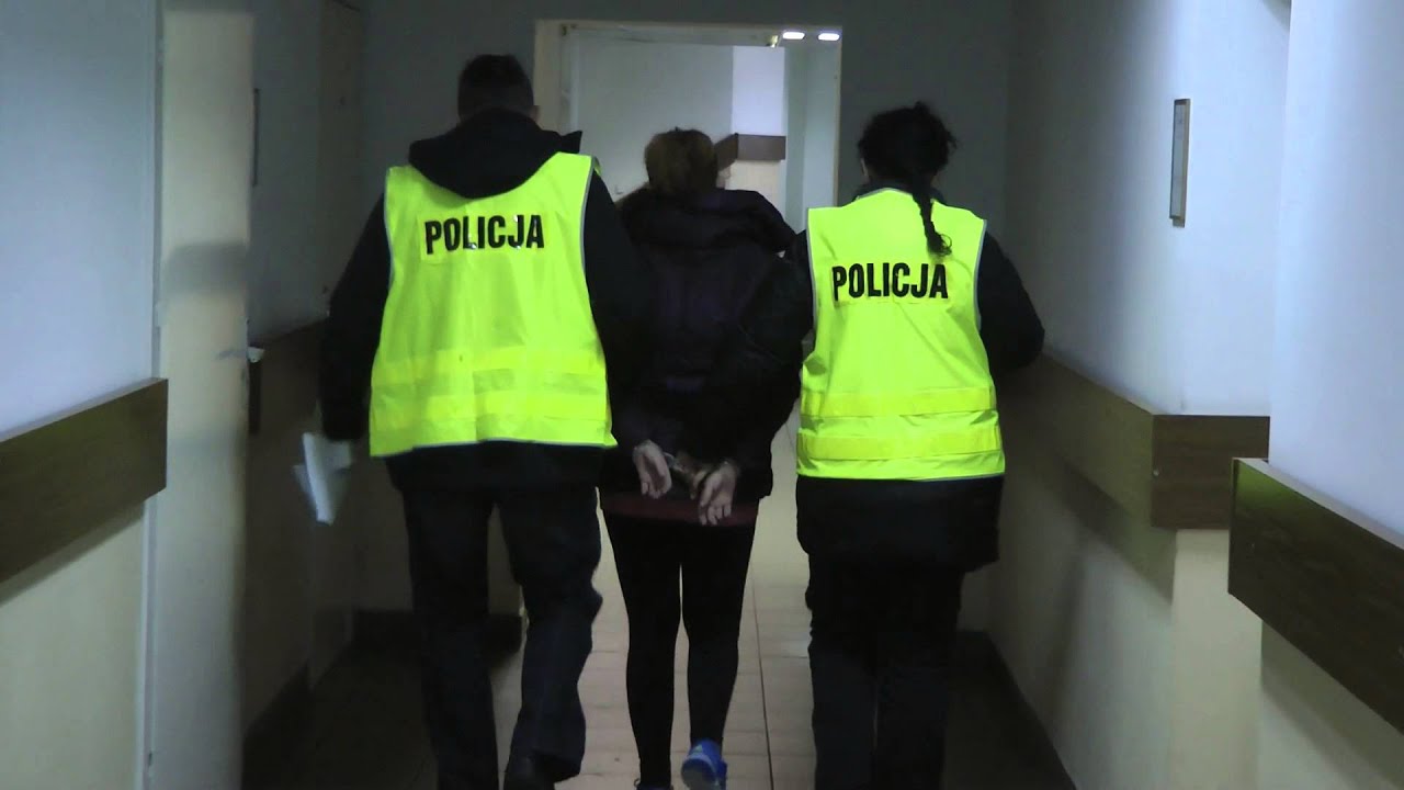 Podejrzana o oszustwa trafiła do policyjnego aresztu - KMP Bydgoszcz