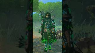 Zelda But Im Doctor Doom