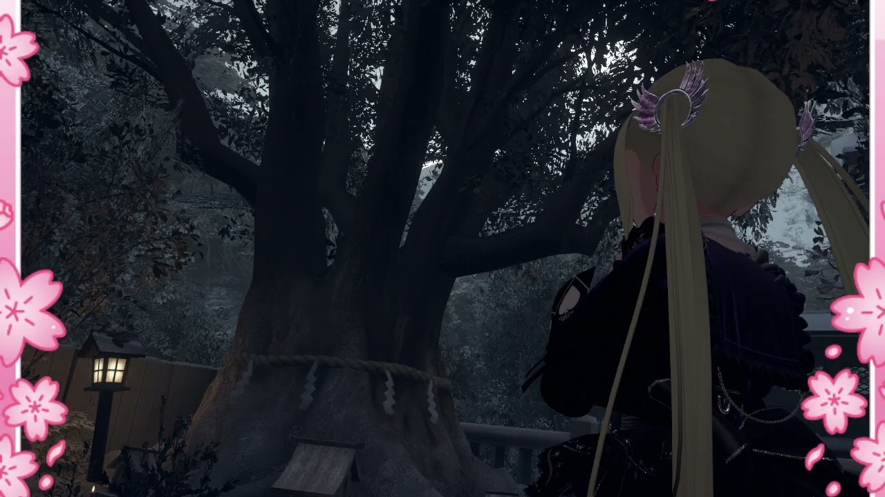 🌹la rosa 🌹バラ🌹