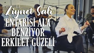 Ziynet Sali - Entarisi Ala Benziyor / Erkilet Güzeli (Akustik Potpuri) Resimi