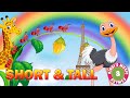 Short &amp; Tall | Preschool Concepts | Educational Rhymes for kids | Bindi&#39;s Music &amp; Rhymes