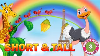 Short & Tall | Preschool Concepts | Educational Rhymes for kids | Bindi's Music & Rhymes