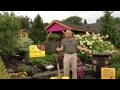 Landscaping Tips For Fall - Fall is for planting