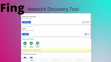 Network Discovery with Fing