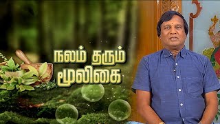 நலம் தரும் மூலிகை | Nalam Tarum Mooligai | Makkal TV by Makkal TV 89 views 2 days ago 2 minutes, 58 seconds