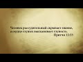 "3 минуты Библии. Стих дня" (30 янв. Притчи 12:23)