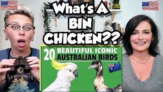 American Couple Reacts: Australia's Birds! 20 ICONIC Aussie Birds! FIRST TIME SEEING THEM!!
