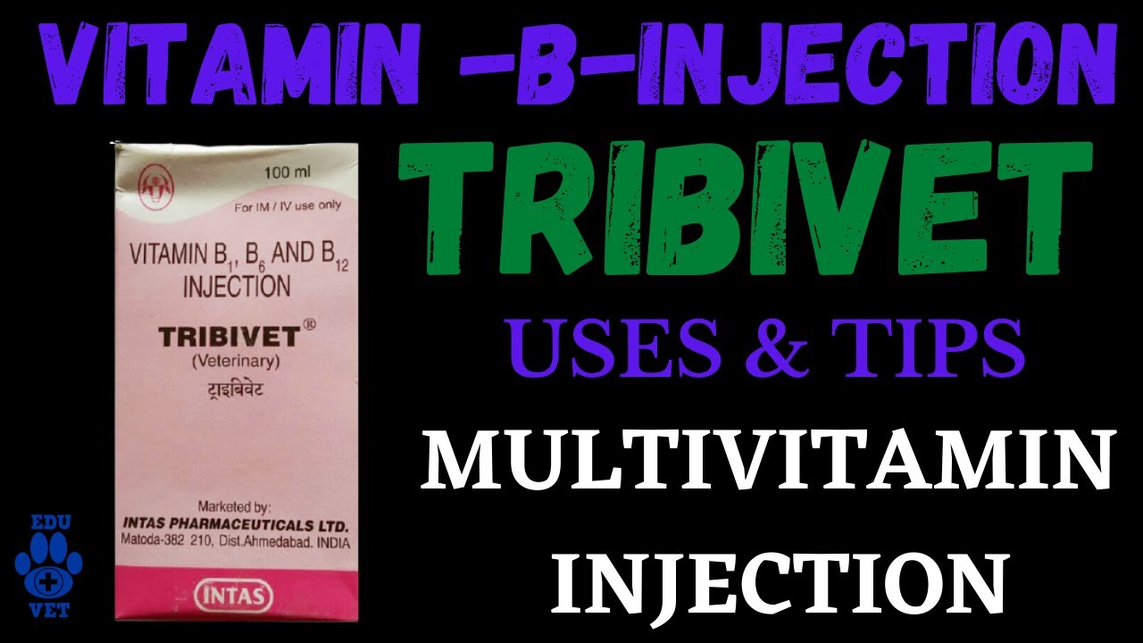Tribivet InjectionMultivitamin Inj Uses and Other Details YouTube