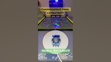 Championship Final Combatants  Ready to fight ..   #hexbugbattlebots #hexbugvideos #battlebots