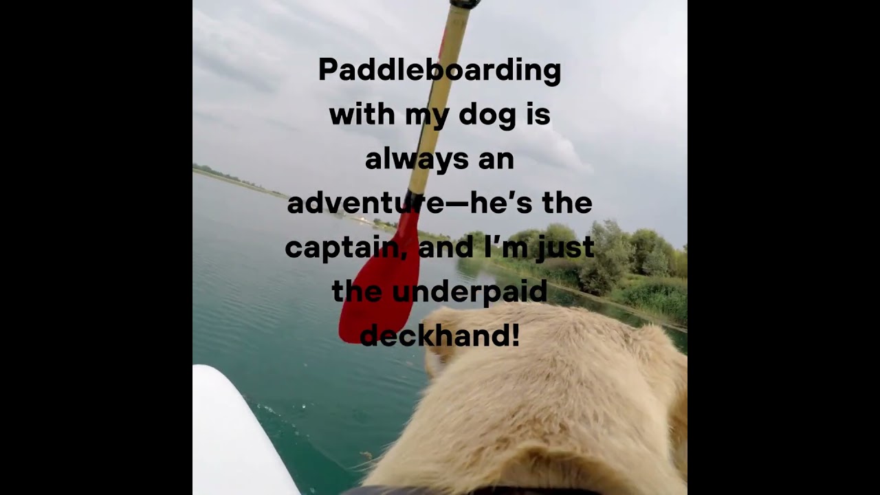 SUP Pacific Northwest | Top 5 PNW places to paddleboard with your dog