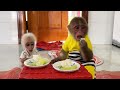 A Happy And Fun Day For SinSin S Family And The Baby Monkey A Happy And Fun Day For SinSin S Family And The Baby Monkey