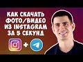 Как Скачать Фото и Видео из Инстаграм Легко и Просто с Помощью Телеграм Бота