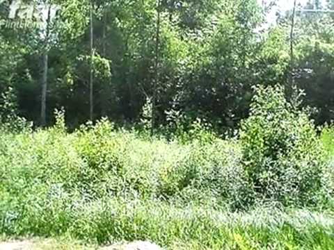 13414 Duffield Rd, Montrose, MI home video tour