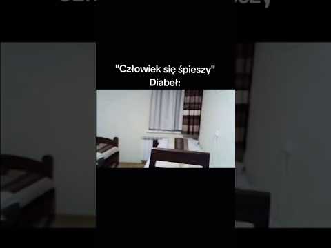 Memy śmieszne Humor